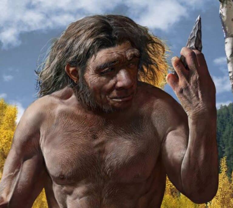 Un grupo de científicos descubren al 'Hombre Dragón': el hermano "robusto" del Homo Sapiens