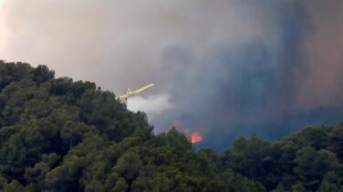 Dos municipios confinados por el incendio en Santa Coloma de Queralt (Tarragona)