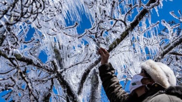 El sur de Brasil se tiñe de blanco por una nevada histórica