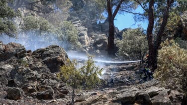 Estabilizado el incendio del Pantano de San Juan