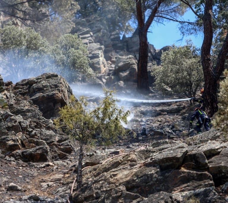 Estabilizado el incendio del Pantano de San Juan