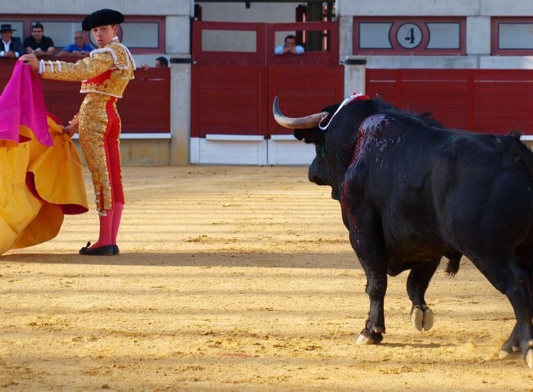 Javier Cortés recibe una cornada muy grave en el glúteo en Linares