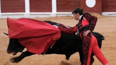 La alcaldesa de Gijón deja a la ciudad sin toros tras la polémica de 'Feminista' y 'Nigeriano'