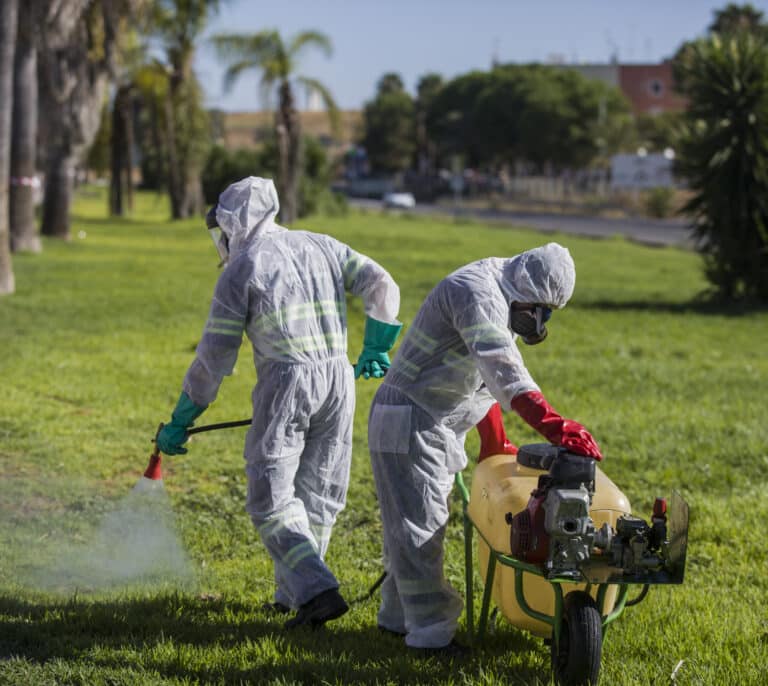 Ingresada una persona de Sevilla infectada de Virus del Nilo