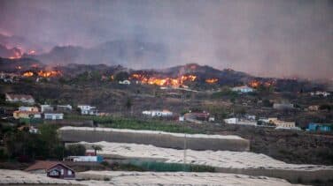 La lava entra en plataneras y quema plástico de invernaderos y fertilizantes