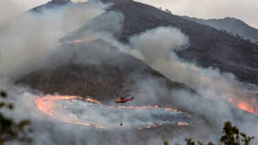 Controlado el incendio forestal en Sierra Bermeja (Málaga)