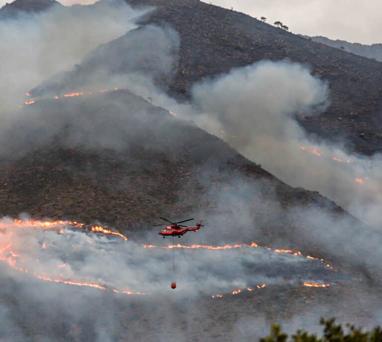 Controlado el incendio forestal en Sierra Bermeja (Málaga)