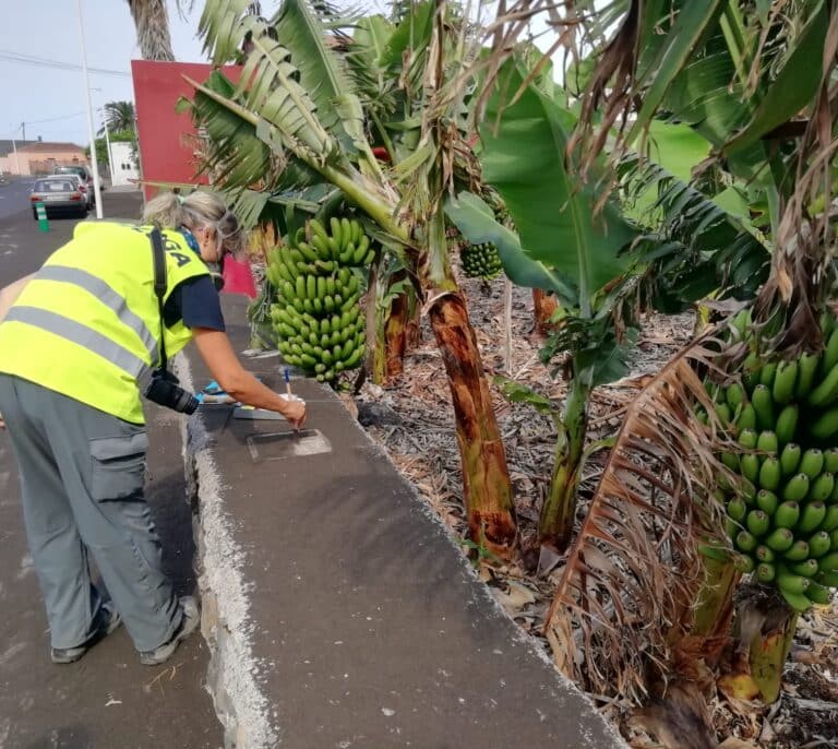 Muestras de ceniza e intensidad sísmica; los palmeros toman el pulso al volcán con ciencia ciudadana