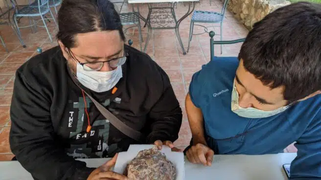 Recuperado un bloque de dos toneladas con huevos fósiles de dinosaurio del yacimiento de Loarre (Huesca)