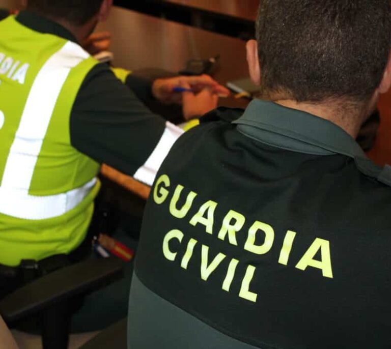 Detenido un vecino de Badajoz tras sufrir un accidente cuando transportaba cerdos robados