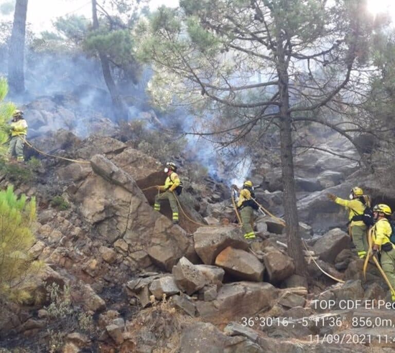 Movilizan a 60 efectivos y cinco camiones autobomba por un incendio forestal en Granada