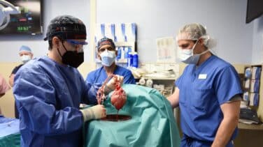 Trasplantado con éxito por primera vez un corazón de cerdo a un hombre