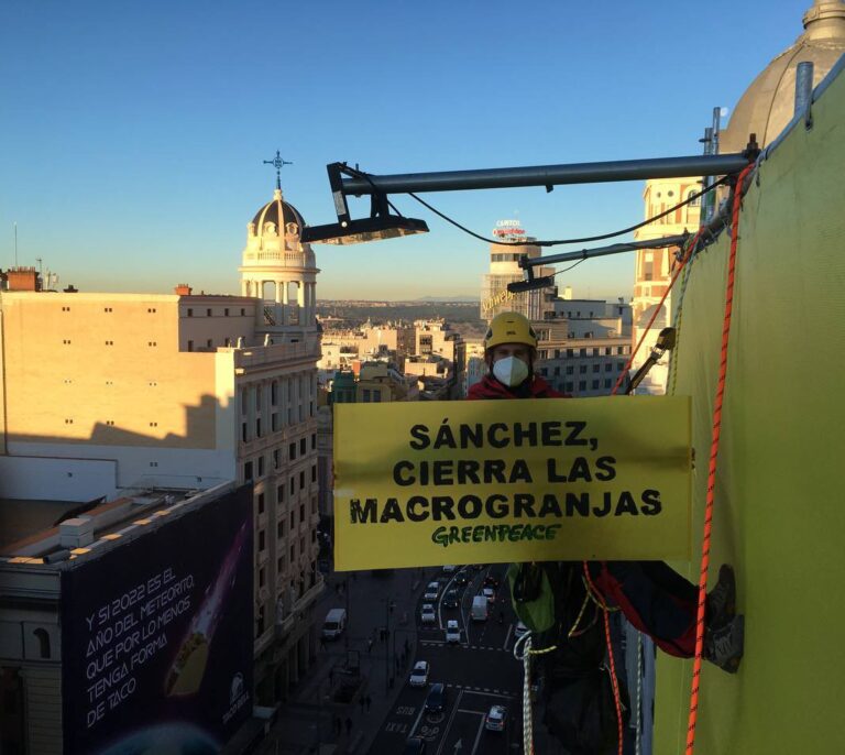 Activistas de Greenpeace se descuelgan de un edificio en la Gran Vía para exigir a Sánchez el cierre de las macrogranjas