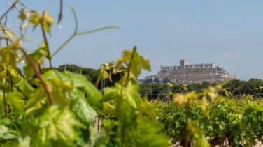 La Milla de Oro del vino de Valladolid, "el gran referente" del enoturismo en España