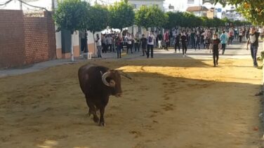 Muere un hombre embestido por una vaquilla cuando grababa el encierro de Puerto Serrano