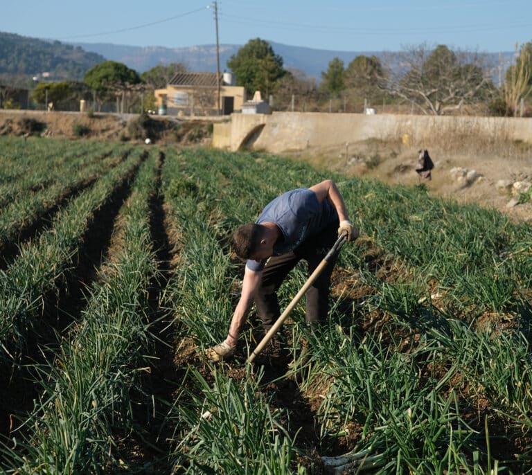 Mujer, joven y con contrato temporal en el campo, la más beneficiada del nuevo SMI