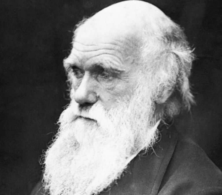 140 años del fallecimiento de Charles Darwin, el científico que creó la teoría de la evolución natural