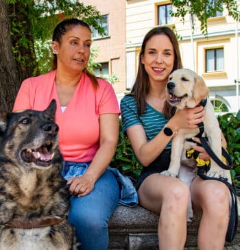 De cachorro a jubilado: la vida de compromisos del perro guía de [...]