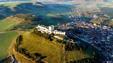 DO Ribera del Duero, 40 años de cultura e historia en la fiesta vívida del vino