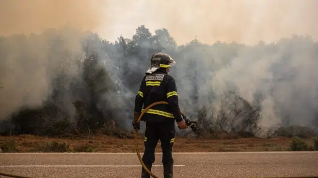 Renfe corta el AVE Madrid-Galicia por la cercanía de las vías al incendio de Zamora