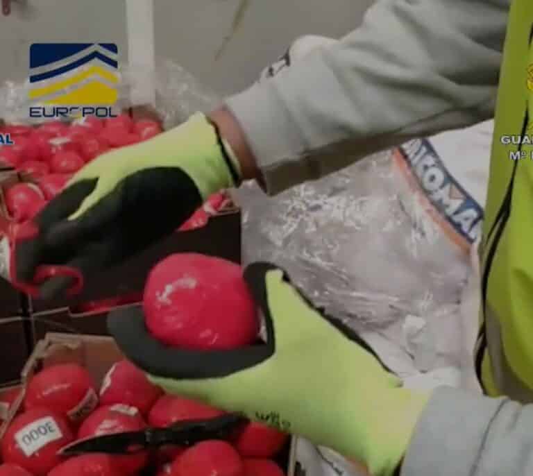 Cae el 'Cártel del Sur' en Algeciras: agentes corrompidos, tomates de hachís y toneladas de cocaína