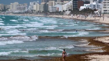 Las toneladas de algas que espantan a los turistas del Caribe