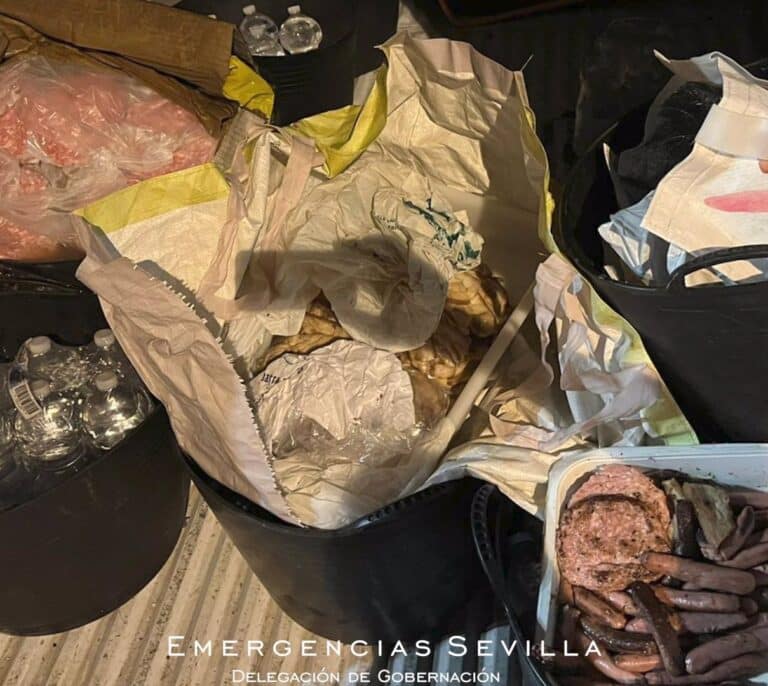 Intervienen 50 kilos de carne en mal estado durante el concierto de Camilo en la Cartuja