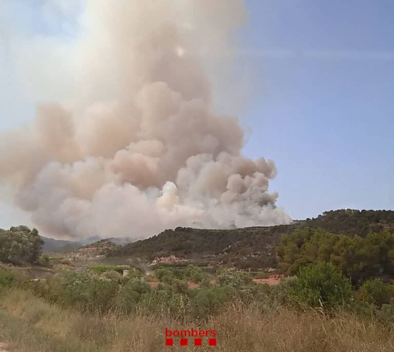 Más de 60 dotaciones de bomberos en un incendio sin control en Lleida