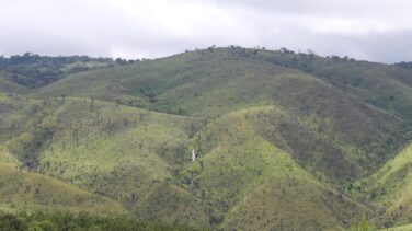 CO2 Revolution regenera una extensión forestal similar a la de 1.000 campos de fútbol