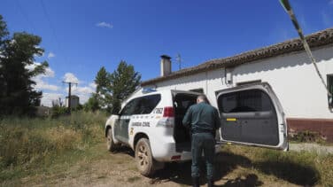 Con bridas en el cuello para no comer ni beber: investigan al dueño de un perro por maltrato animal