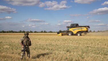 Semillas de esperanza en la batalla por el grano de Ucrania: "Rusia está chantajeando al mundo"