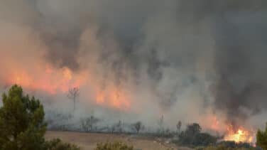 La UME despliega 600 efectivos para sofocar cuatro incendios en Cáceres, Lugo y Salamanca