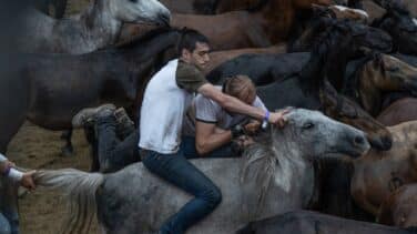 'A rapa das bestas' de Sabucedo rememora el vínculo ancestral de los caballos con lo divino