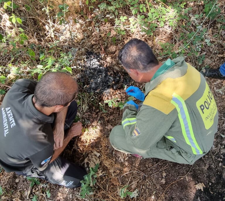 Pillada 'in fraganti' con un mechero cuando iba a provocar un incendio forestal