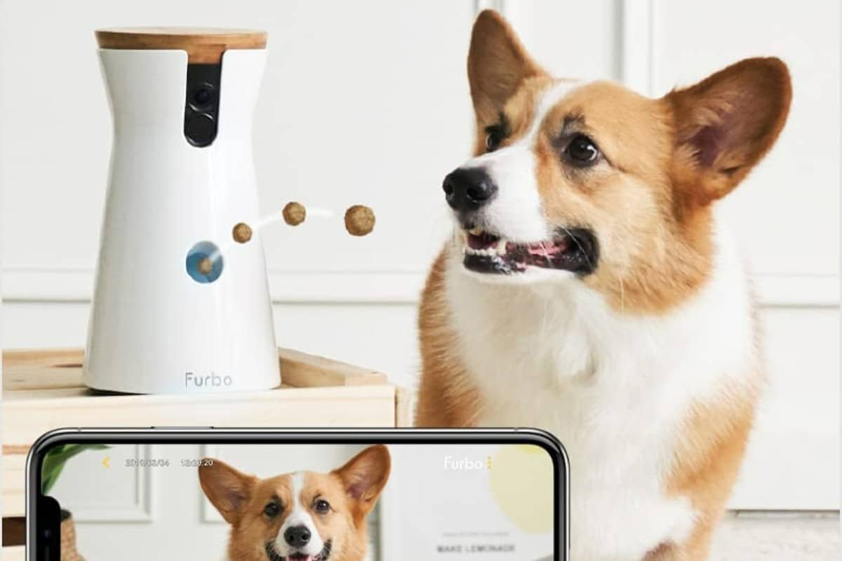 Cuida a tu perro cuando no estés en casa con esta cámara ¡y ahorra 60€!