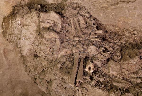 Encuentran restos humanos de una tumba de hace 10.000 años en Azerbaiyán