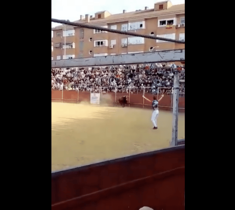 Un operario de la plaza de toros de Fuenlabrada muere corneado por un toro que ha saltado al callejón