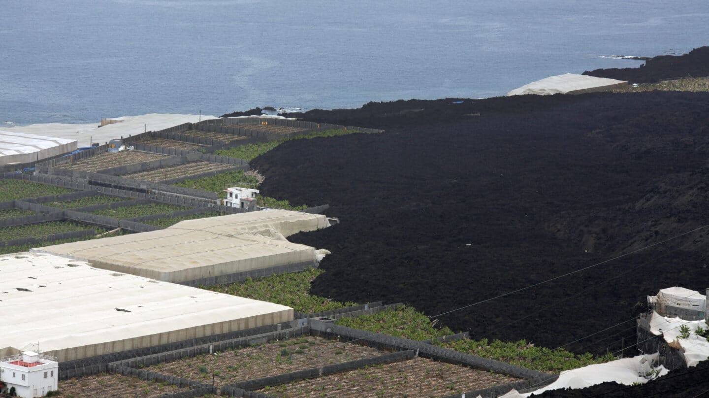Plantaciones de plataneras y el malpaís son el nuevo paisaje de esta parte de La Palma.