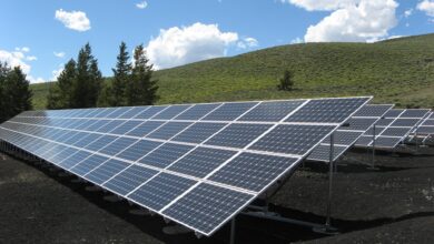 Los proyectos de energía solar en suelo, lugares de protección y restauración de la biodiversidad