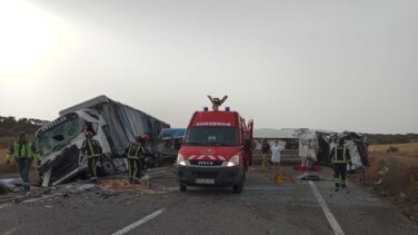 Muere un conductor de un camión cargado de gasoil tras colisionar con otro y volcar en la N-502