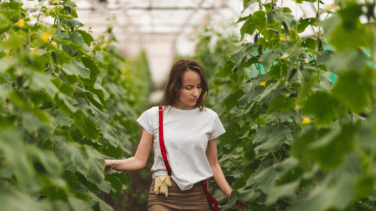 'Fondo Agro Smart' del Santander, un motor para el crecimiento sostenible del sector agroalimentario