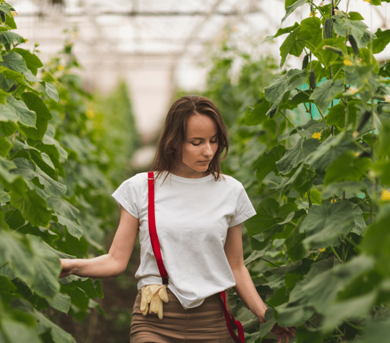 'Fondo Agro Smart' del Santander, un motor para el crecimiento sostenible del sector agroalimentario