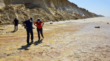 Una investigación revela nuevos datos sobre los homínidos en Doñana