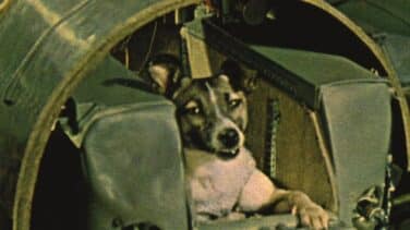 La perra Laika: 65 años del primer viaje de un ser vivo al espacio