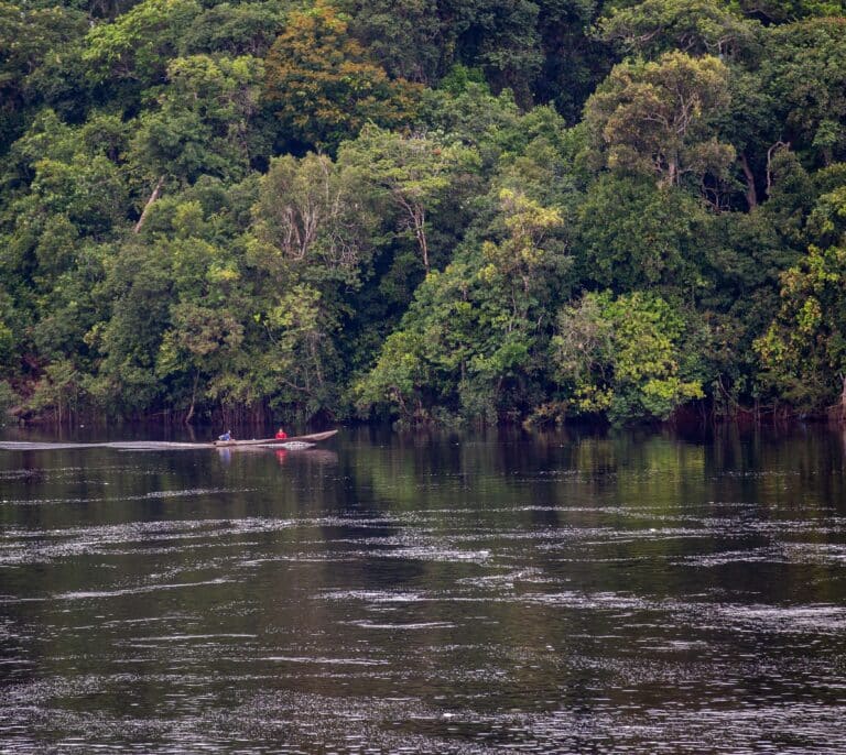 La cumbre de Montreal cierra con un escudo para el 30% de la biodiversidad del planeta