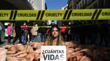 Activistas por la defensa de los animales se desnudarán en el centro de Madrid este domingo