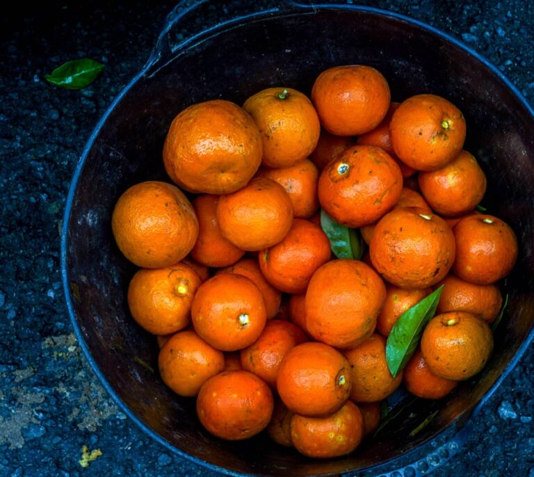 Los agricultores afirman que la naranja ha estado a menos de 12 céntimos y que el Gobierno "ignora su problemática"