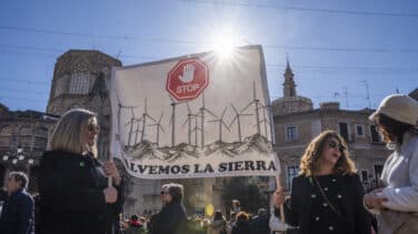 La rebelión de los ciudadanos contra las renovables: "Es un fraude"
