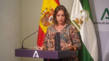 Andalucía pide un Consejo Interterritorial urgente por la "explosión" de casos en China