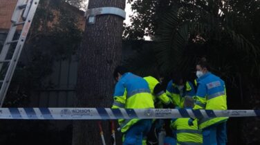 Muere un trabajador tras caer desde un árbol de 10 metros en Conde Orgaz (Madrid)